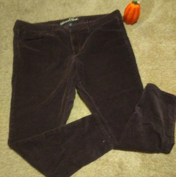 Brown corduroy Universal Thread size 18/34R stretchy - Picture 2 of 7